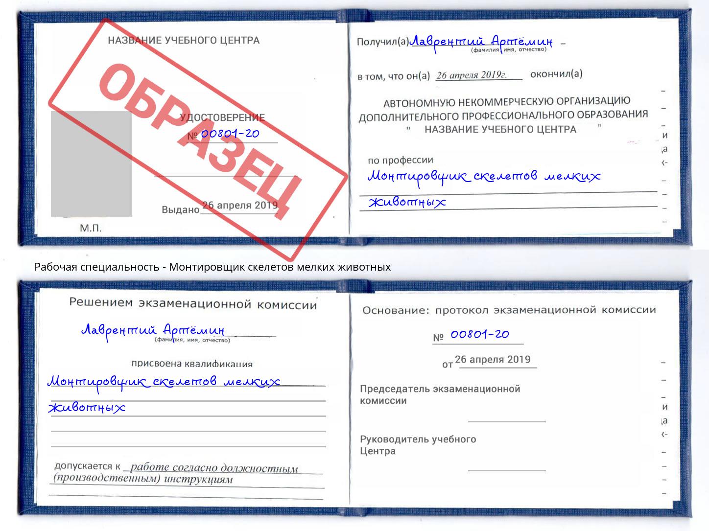Монтировщик скелетов мелких животных Избербаш